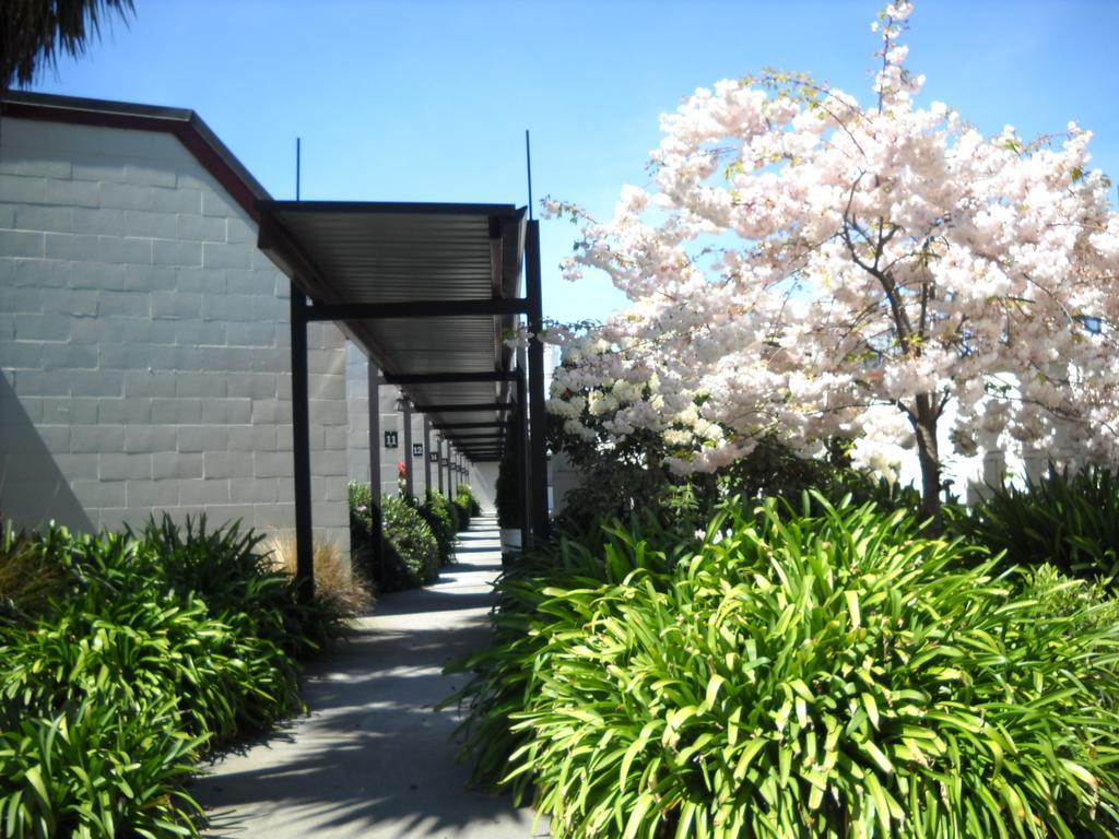 Gothic Heights Motel Christchurch Zewnętrze zdjęcie